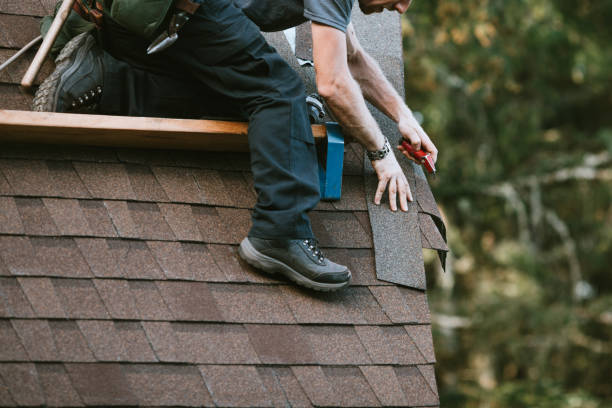 Best Shingle Roofing Installation  in USA